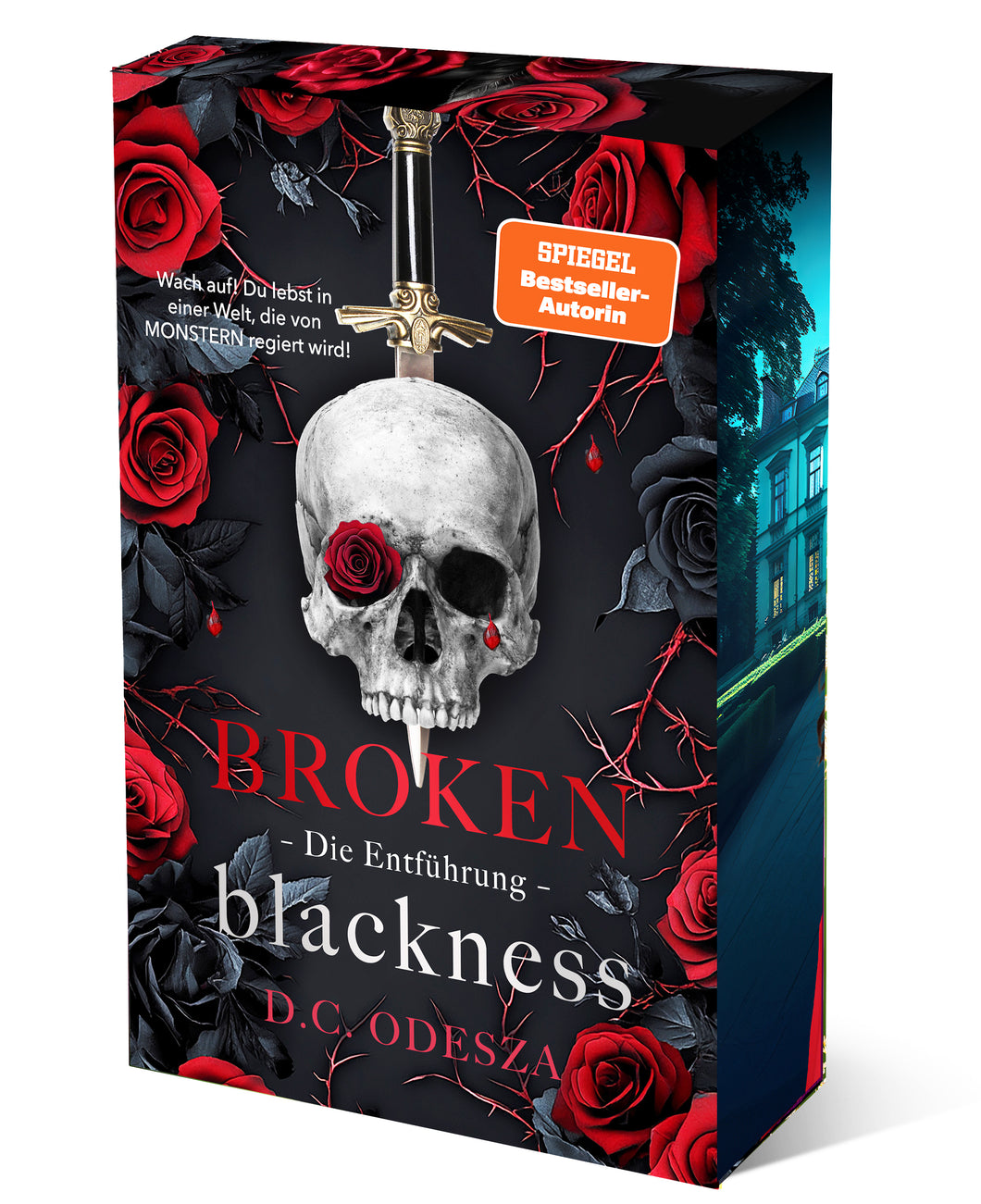 Mängelexemplar | Broken Blackness (Band 1) SPECIALAUSGABE